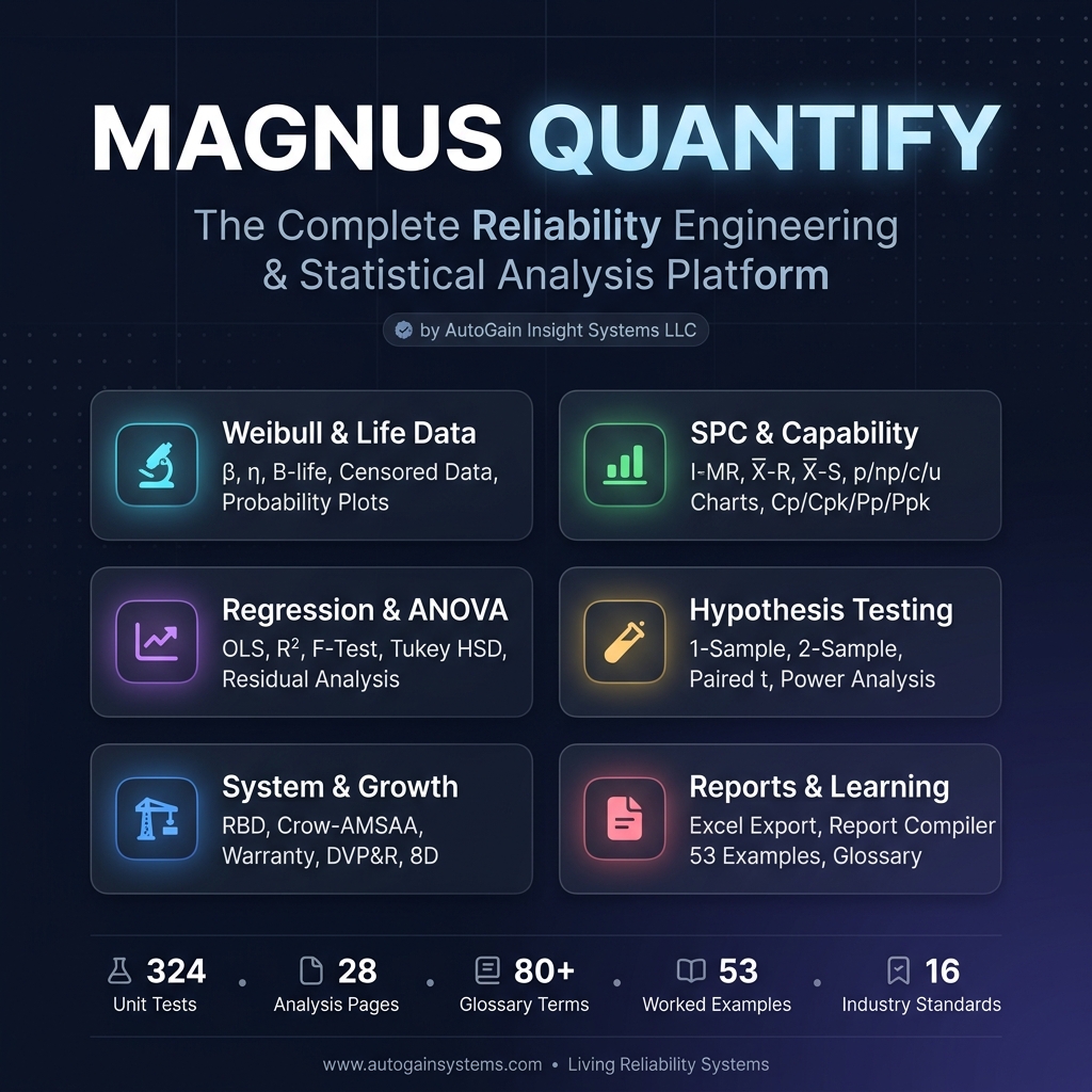 Magnus Quantify Dashboard